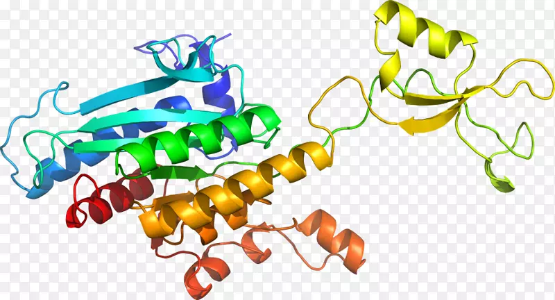 ���������л����߼�������-������