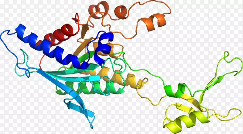 ƽ������ߵ��������-������