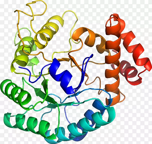 ���������л����߼�������-������