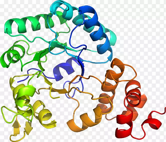 ���������л����߼�������-������