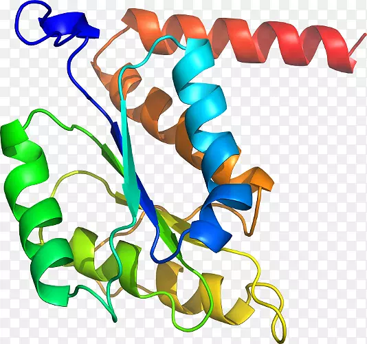 ���������л����߼�������-������