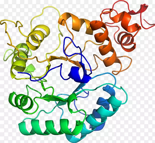 ���������л����߼�������-������