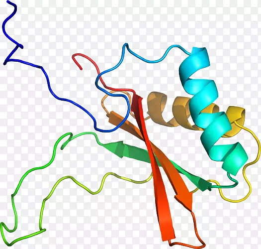 �ߵ������������-������