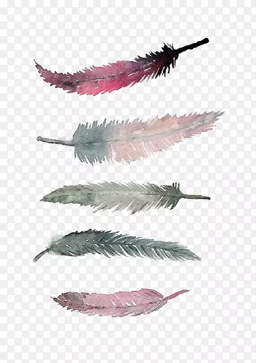 ˮ�ʻ��滭������ë����ë-������