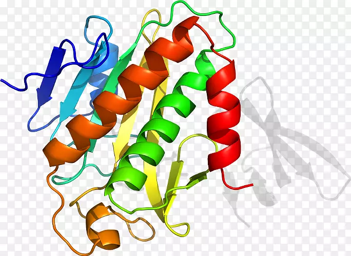 �߲��л���ϵ�м�����-�߲�-������