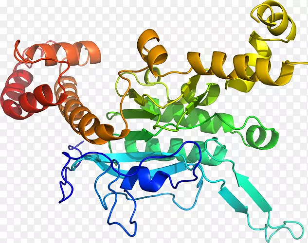 ���������鱦�߼�����.����-������