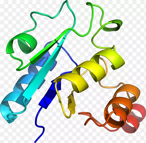 ֲ�ﾥ���鱦���������-������