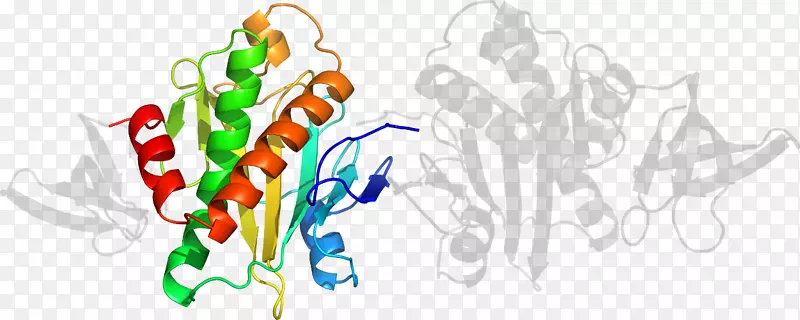 ��ʳ�߼�����-��-������