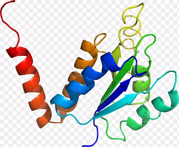 �����鱦���л����������-������