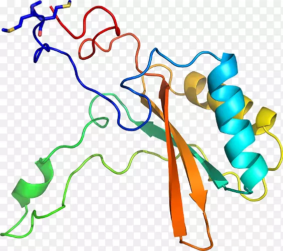 �ߵ������������-������