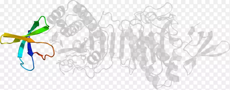 ��������ƽ����Ƽ��������-������