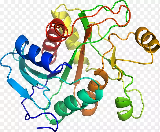 ���������л����߼�������-������