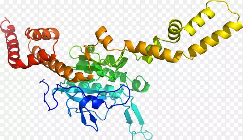 ���������л����߼�������-������