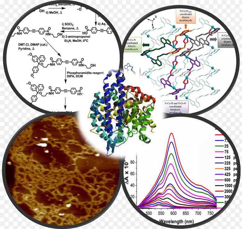 ��Ȧ��������������-������