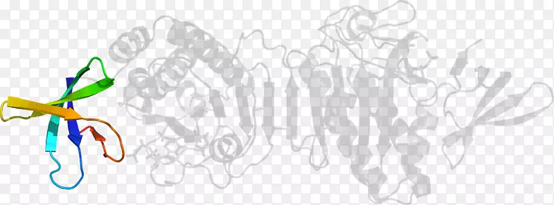 ��������ƽ����Ƽ��������-������