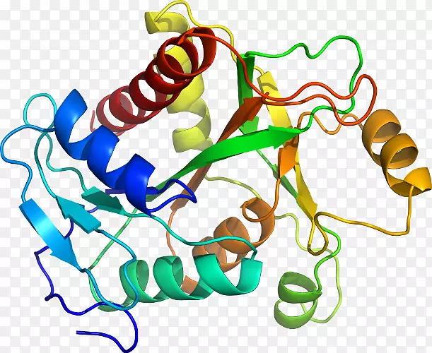 ���������л����߼�������-������