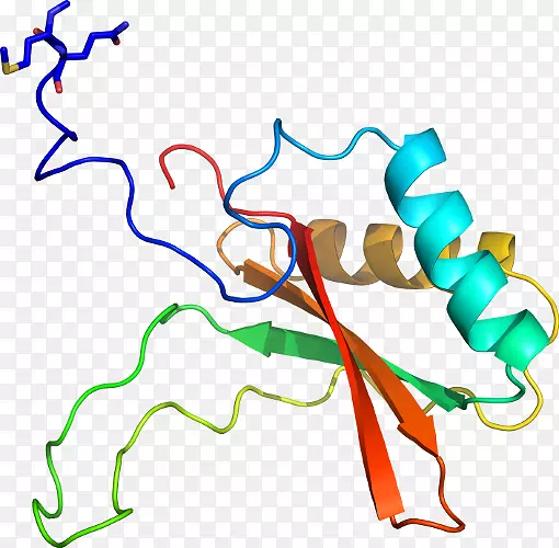 �ߵ������������-������