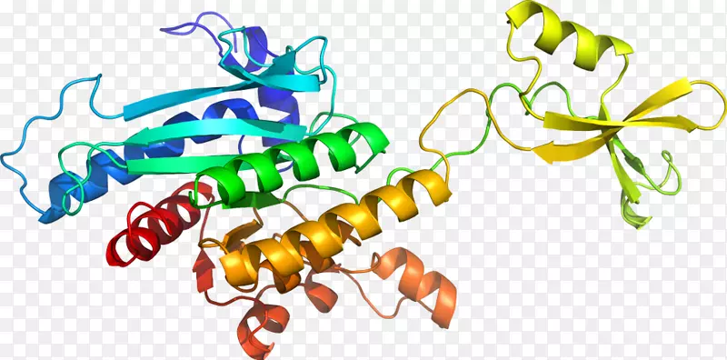 ����ͼ����Ƽ���������-������