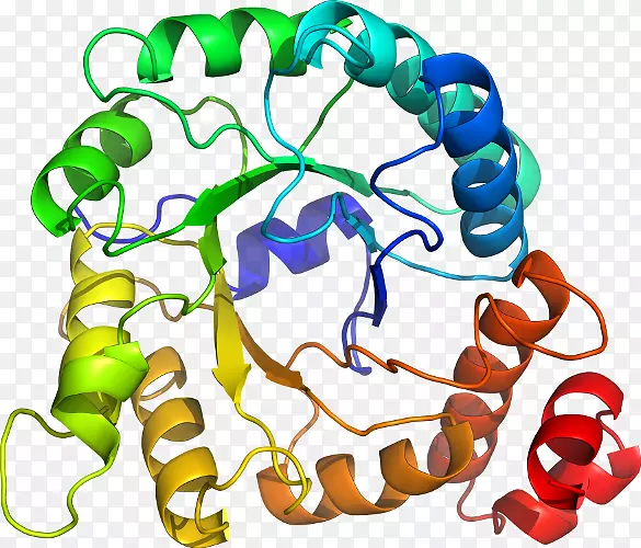 ���������л����߼�������-������