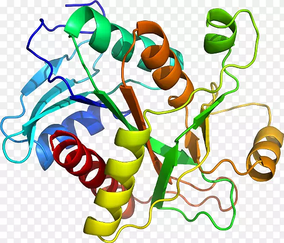 �����鱦�����߼�������-������