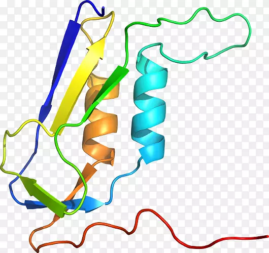 �ߵ������-��-������