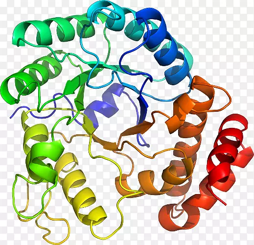 ���������л����߼�������-������