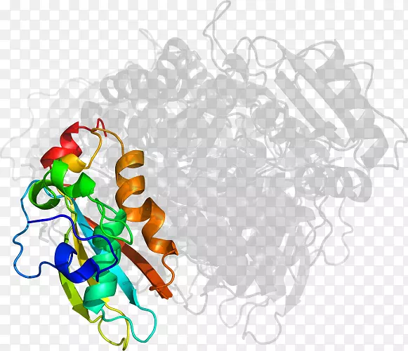 ƽ����Ƽ�����.���-������