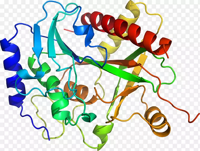 �����߶����������-������