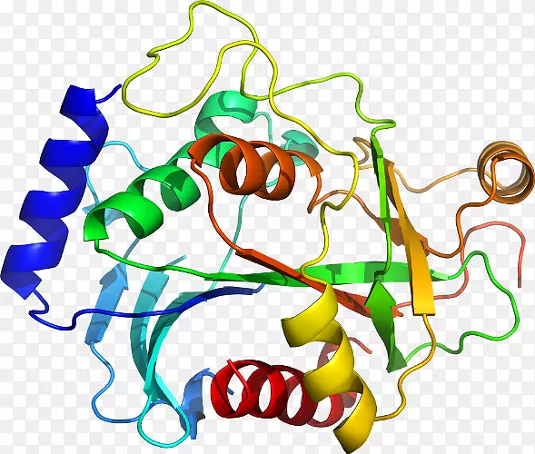 ���߼�����-��-������