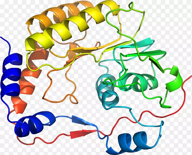 ����������Ϊ�ߵ��������-������