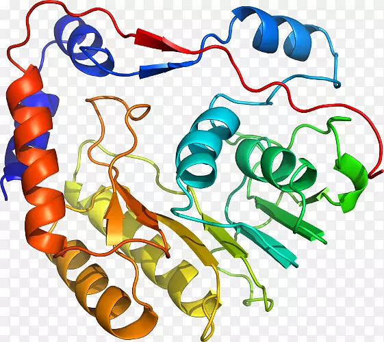 �ߵ������������-������