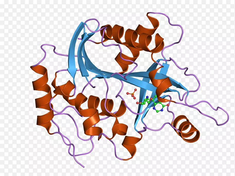 ���������߼�������-������