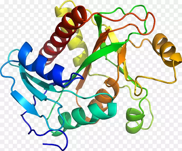 �����߶����������-������