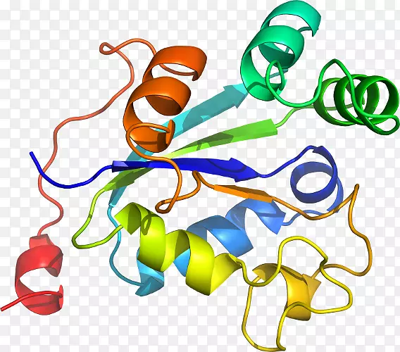 �����鱦������.���-������