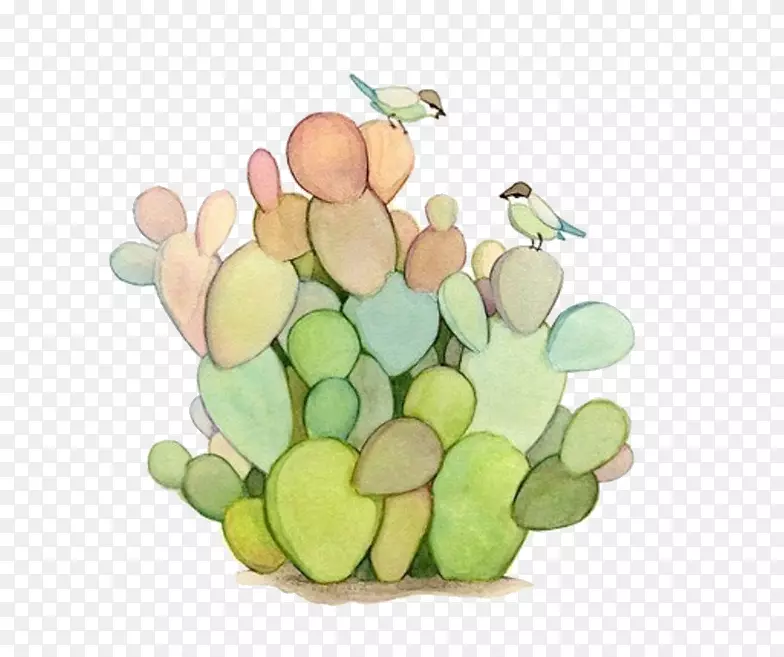 �����ƿ�ˮ�ʻ�����ֲ�ﻨ��������-������