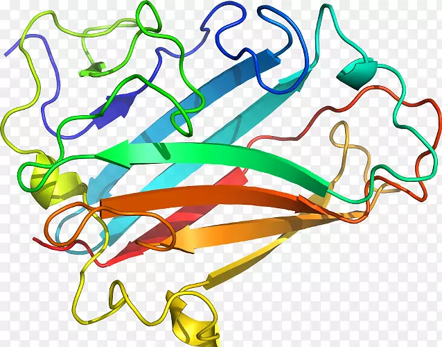 �ߵ������������-������