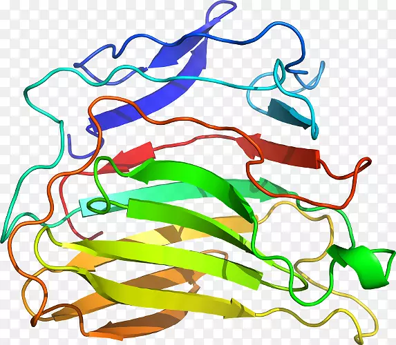 �ߵ������������-������