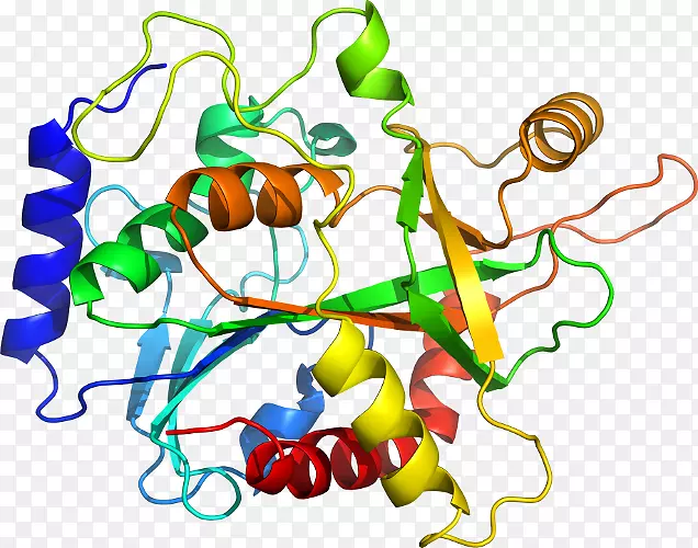 �߲˾��߼�����-�߲�-������