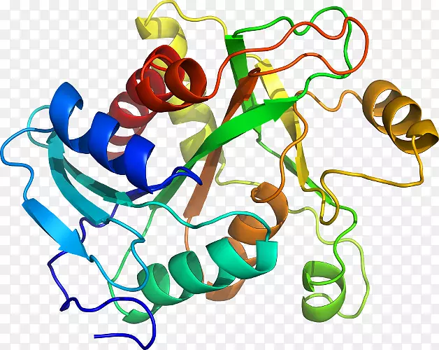 ���������л����߼�������-������