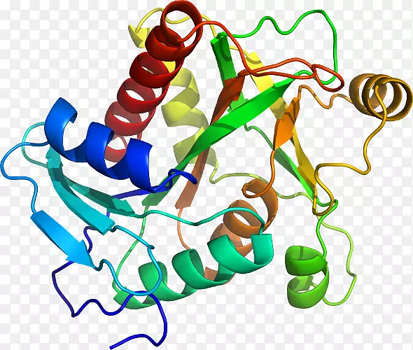 ���������л����߼�������-������