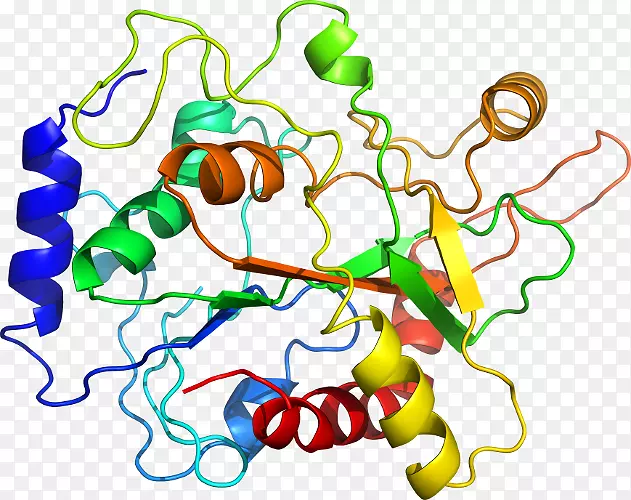 �ߵ������������-������