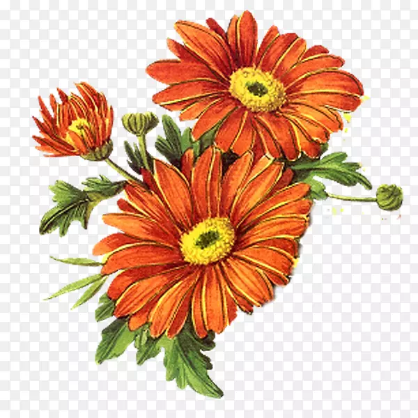 ����-������