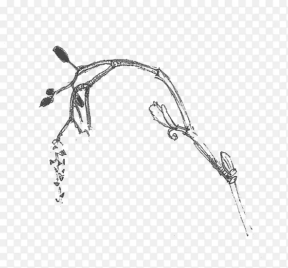 ���������ν���-������