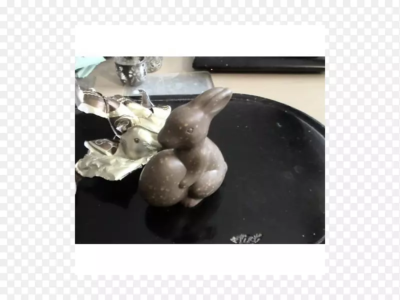 ����Ȯ��-����-������