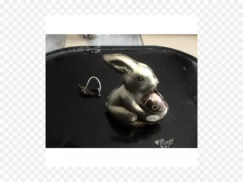 ���˶�����Ȯ����-�����޹���-������