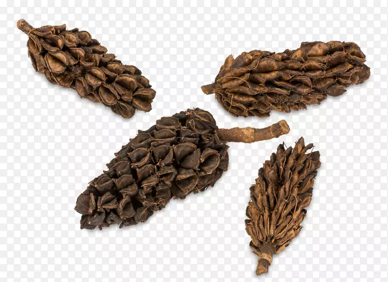 �Ϸ�ľ������ɼ�����ƿ�-������