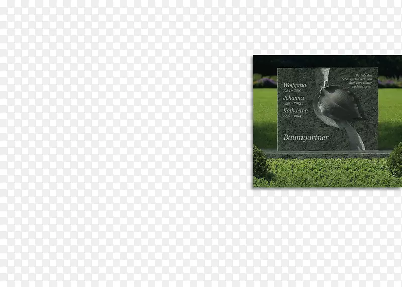 ������-��-������