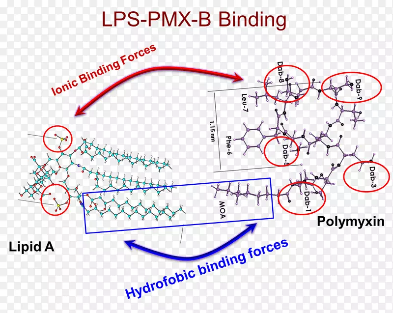 ֱ�ߵ����-������