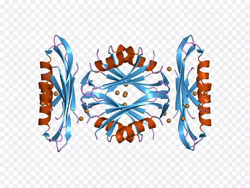 �߼�����-��-������