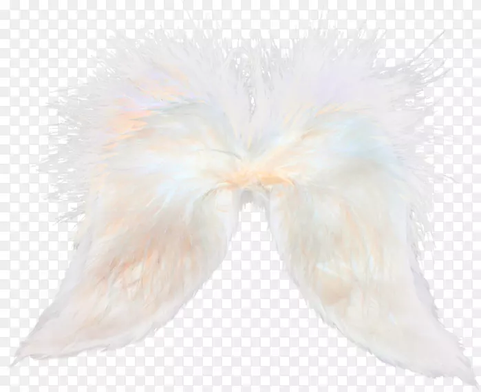 ��ë��β����-������